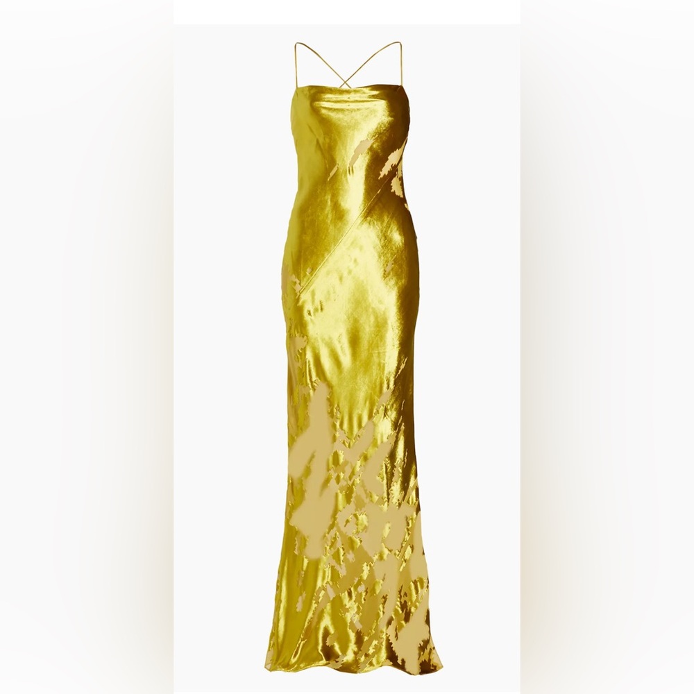 The Sei Burnout silk Bias-Cut Gown - Picture 4 of 8